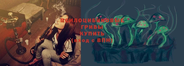 прущие крисы Аркадак