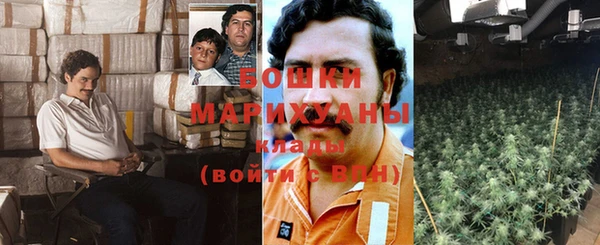прущие крисы Аркадак