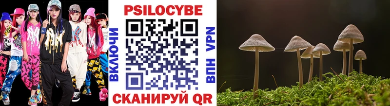 Купить где  Трёхгорный  Псилоцибиновые грибы Cubensis 